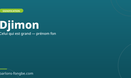 Prénom Djimon : signification et origine fon