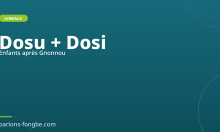 Dosu et Dosi : les enfants après Gnonnou