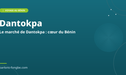 Le Marché de Dantokpa : Cœur de Vie et de Langue