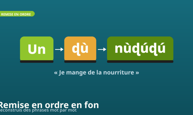 Quiz remise en ordre : construis des phrases en fon