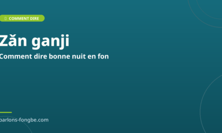 Comment dire bonne nuit en fon : Zǎn ganji et formules de souhait