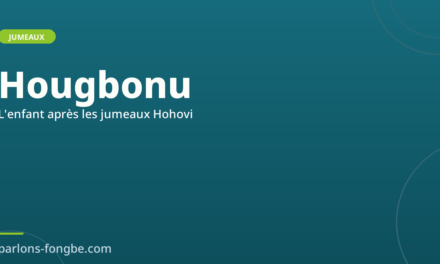 Les noms après les jumeaux en fon : l&rsquo;enfant Hougbonu